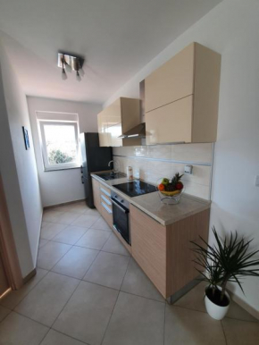 Alex apartment Medulin